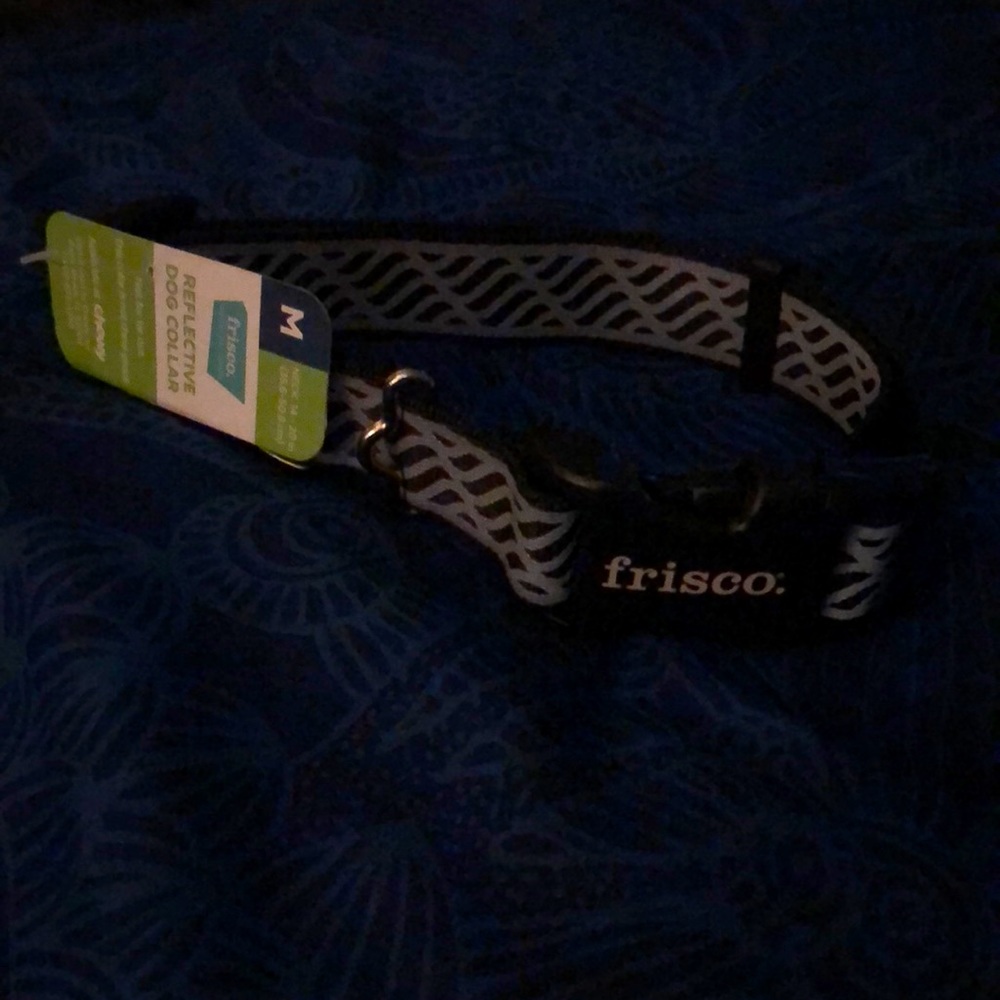 Frisco Reflective Dog Collar {not chew proof}